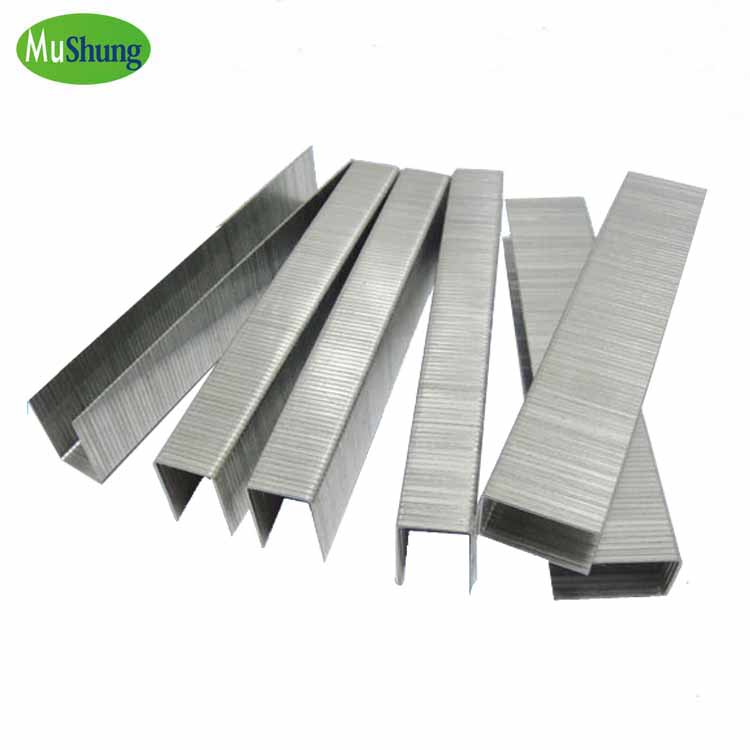 Wholesale Nail Supplies White Staple For Nail Gun